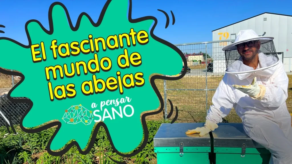 Vídeo mundo de las abejas